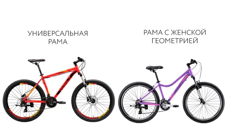 56HQjYOKneY.jpg 56HQjYOKneY.jpg